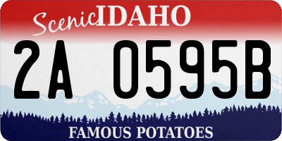 ID license plate 2A0595B