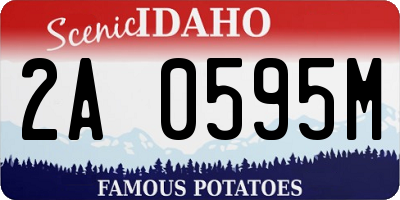 ID license plate 2A0595M