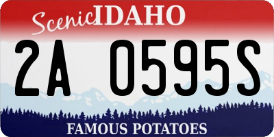 ID license plate 2A0595S