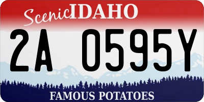 ID license plate 2A0595Y