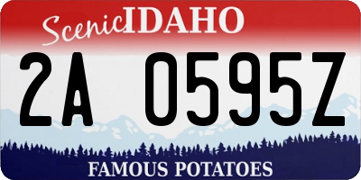 ID license plate 2A0595Z