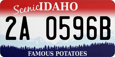 ID license plate 2A0596B