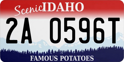 ID license plate 2A0596T