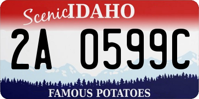 ID license plate 2A0599C