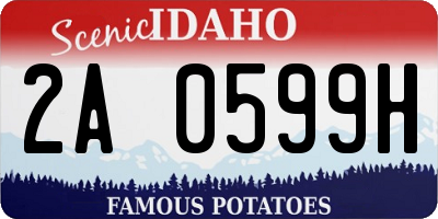 ID license plate 2A0599H