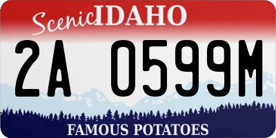 ID license plate 2A0599M