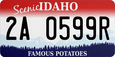 ID license plate 2A0599R