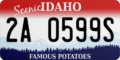 ID license plate 2A0599S