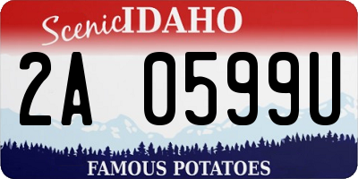ID license plate 2A0599U