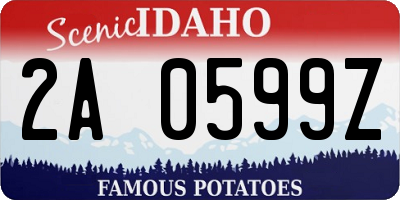 ID license plate 2A0599Z