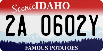 ID license plate 2A0602Y