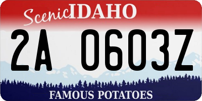 ID license plate 2A0603Z