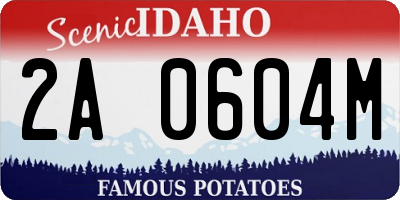 ID license plate 2A0604M