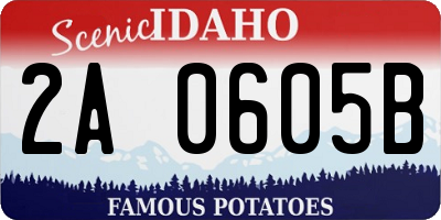 ID license plate 2A0605B
