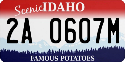 ID license plate 2A0607M