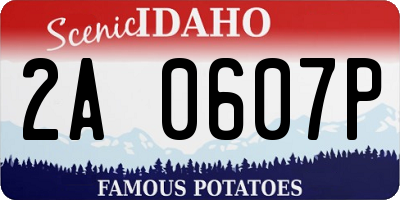 ID license plate 2A0607P