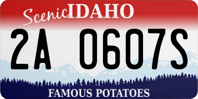 ID license plate 2A0607S