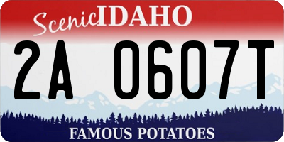 ID license plate 2A0607T