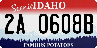 ID license plate 2A0608B