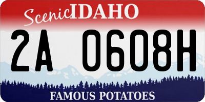 ID license plate 2A0608H