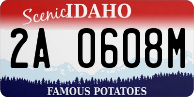 ID license plate 2A0608M