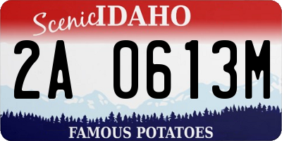 ID license plate 2A0613M