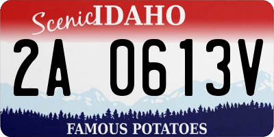 ID license plate 2A0613V