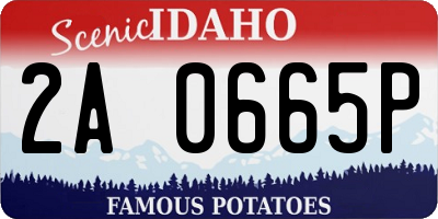 ID license plate 2A0665P
