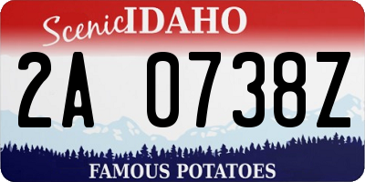 ID license plate 2A0738Z
