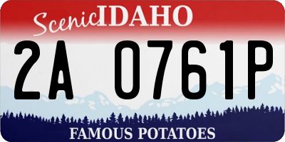 ID license plate 2A0761P