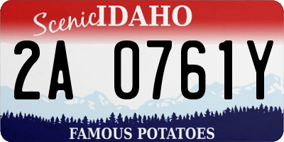 ID license plate 2A0761Y