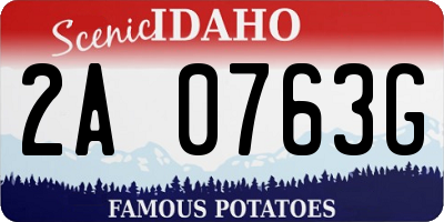 ID license plate 2A0763G