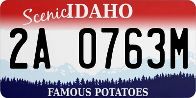 ID license plate 2A0763M