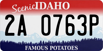 ID license plate 2A0763P