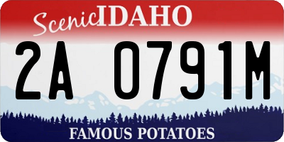 ID license plate 2A0791M