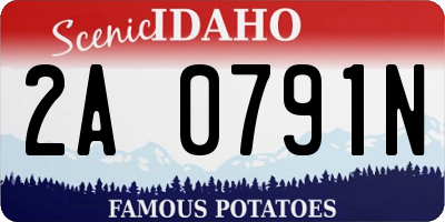 ID license plate 2A0791N
