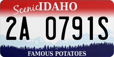 ID license plate 2A0791S