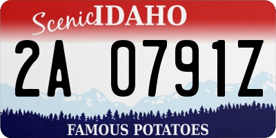 ID license plate 2A0791Z