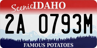 ID license plate 2A0793M