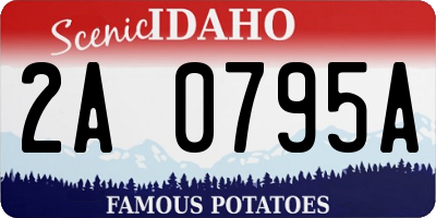 ID license plate 2A0795A