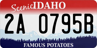 ID license plate 2A0795B