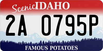 ID license plate 2A0795P