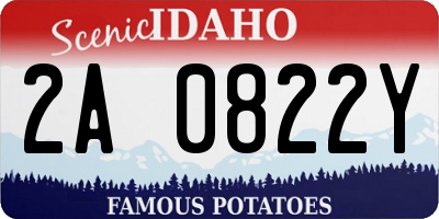 ID license plate 2A0822Y