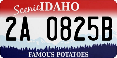 ID license plate 2A0825B