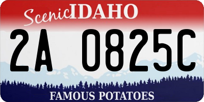 ID license plate 2A0825C