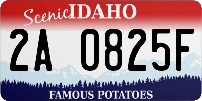 ID license plate 2A0825F