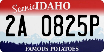 ID license plate 2A0825P