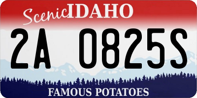 ID license plate 2A0825S