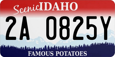 ID license plate 2A0825Y