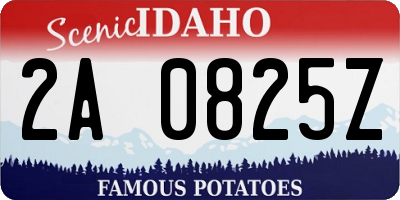 ID license plate 2A0825Z